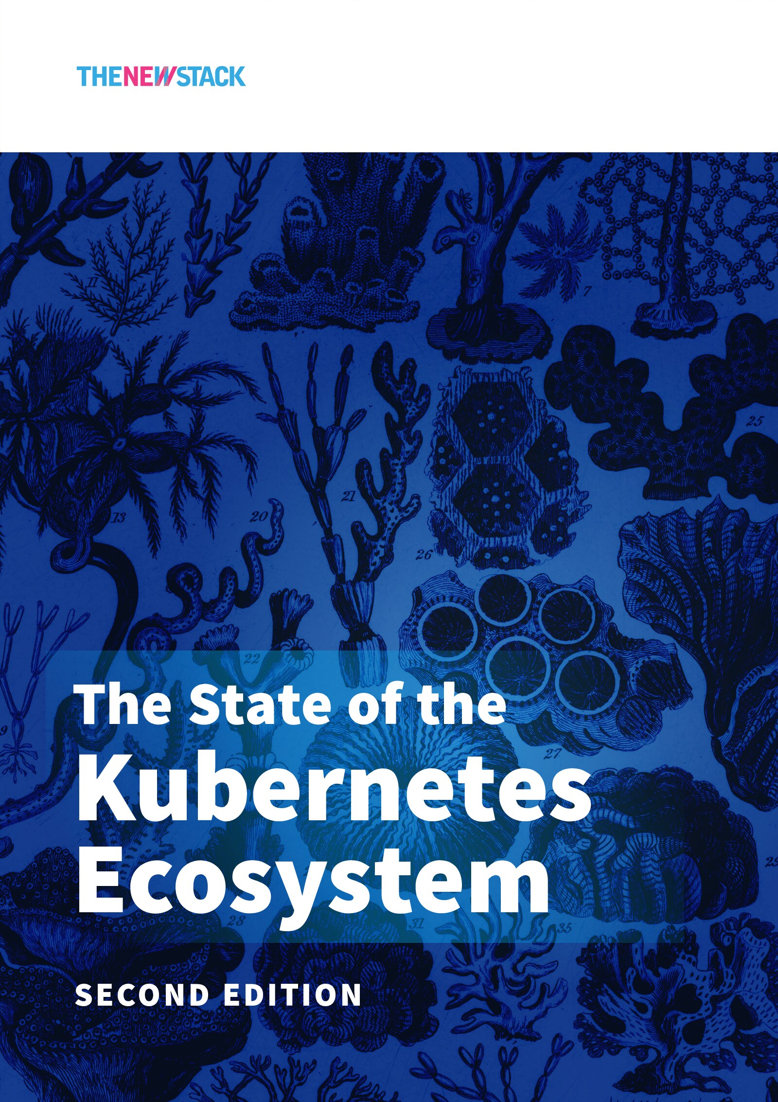 TheNewStack_Book1_2_TheStateOfTheKubernetesEcosystem_SecondEdition