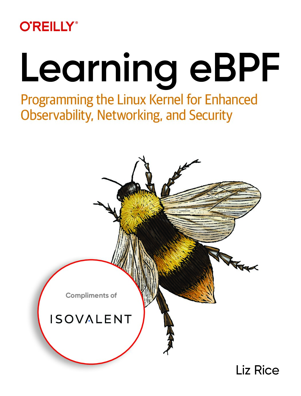 Learning eBPF